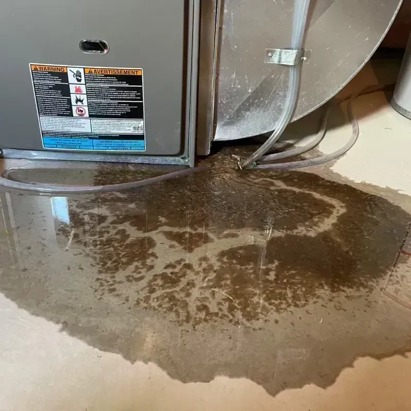 Appliance Leak Cleanup in Tinton Falls, NJ